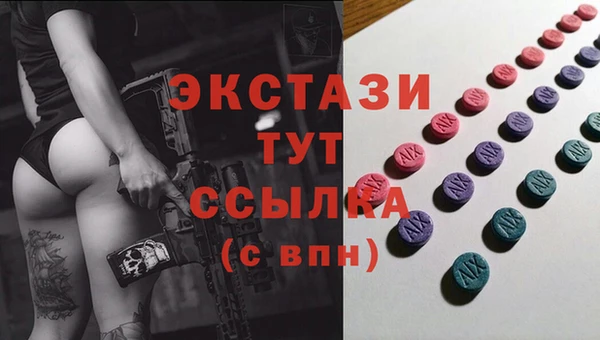 молекула духа Ельня