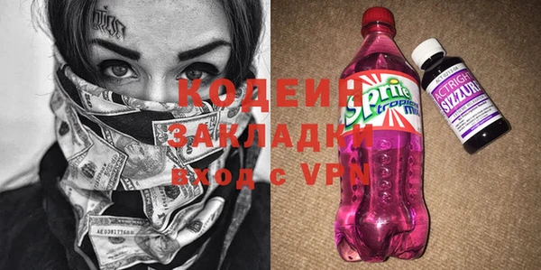 молекула духа Ельня