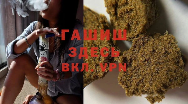 молекула духа Ельня