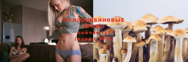 mix Елизово