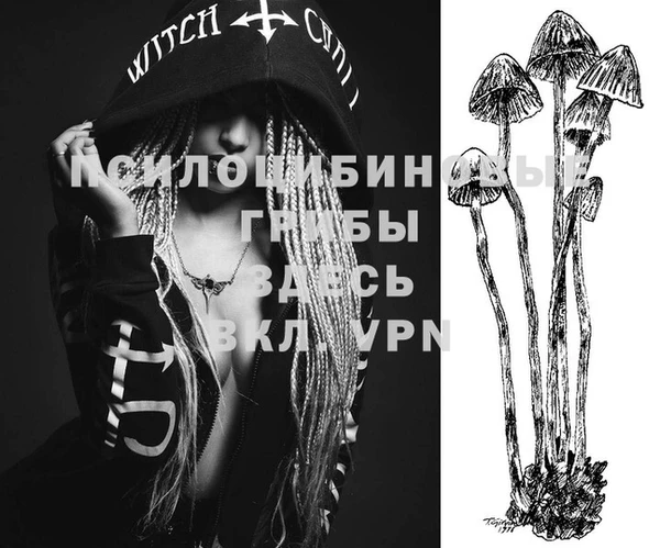 молекула духа Ельня
