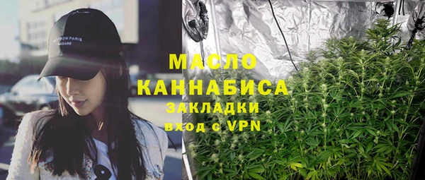 молекула духа Ельня