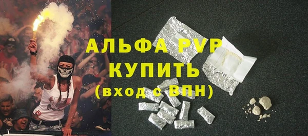молекула духа Ельня