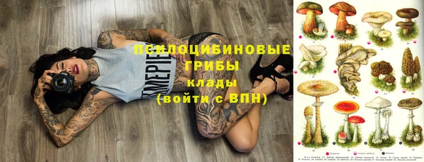 молекула духа Ельня
