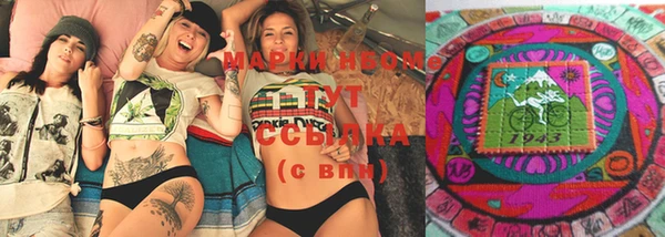 молекула духа Ельня