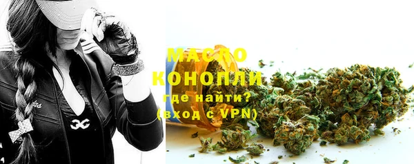 молекула духа Ельня