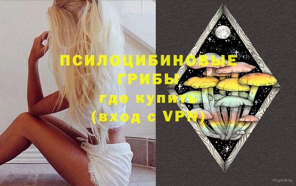 молекула духа Ельня