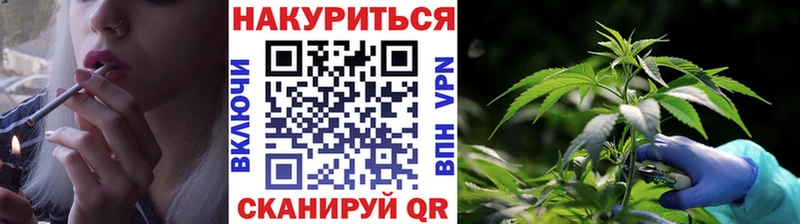 Шишки марихуана планчик  Димитровград 